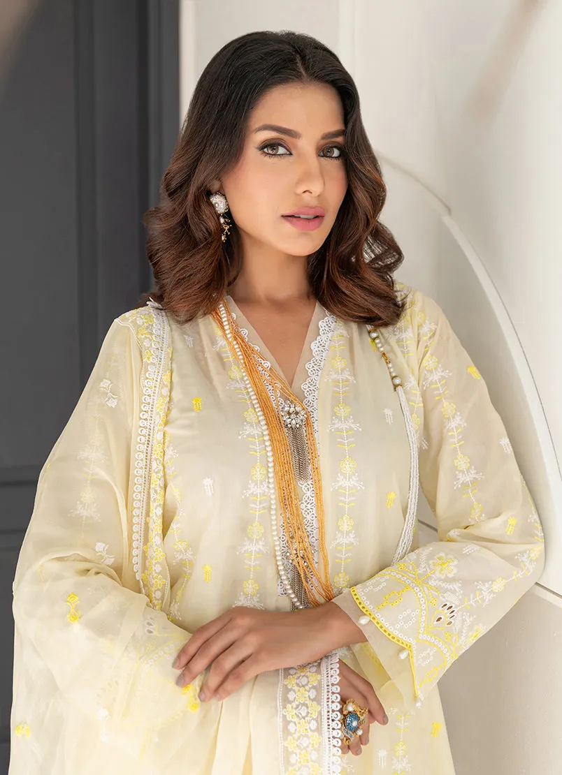 3 Pc Chikankari Lawn Unstitched